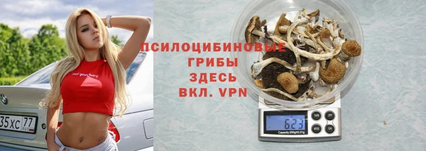 трава Наволоки
