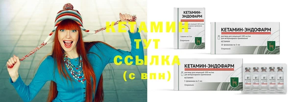 стафф Вязьма