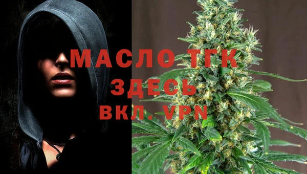 гашик Вяземский