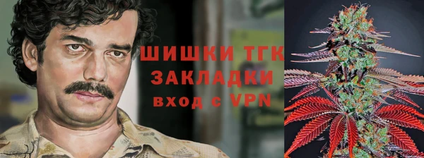 трава Наволоки