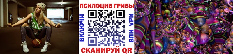 kraken tor Приволжск Псилоцибиновые грибы MAGIC MUSHROOMS